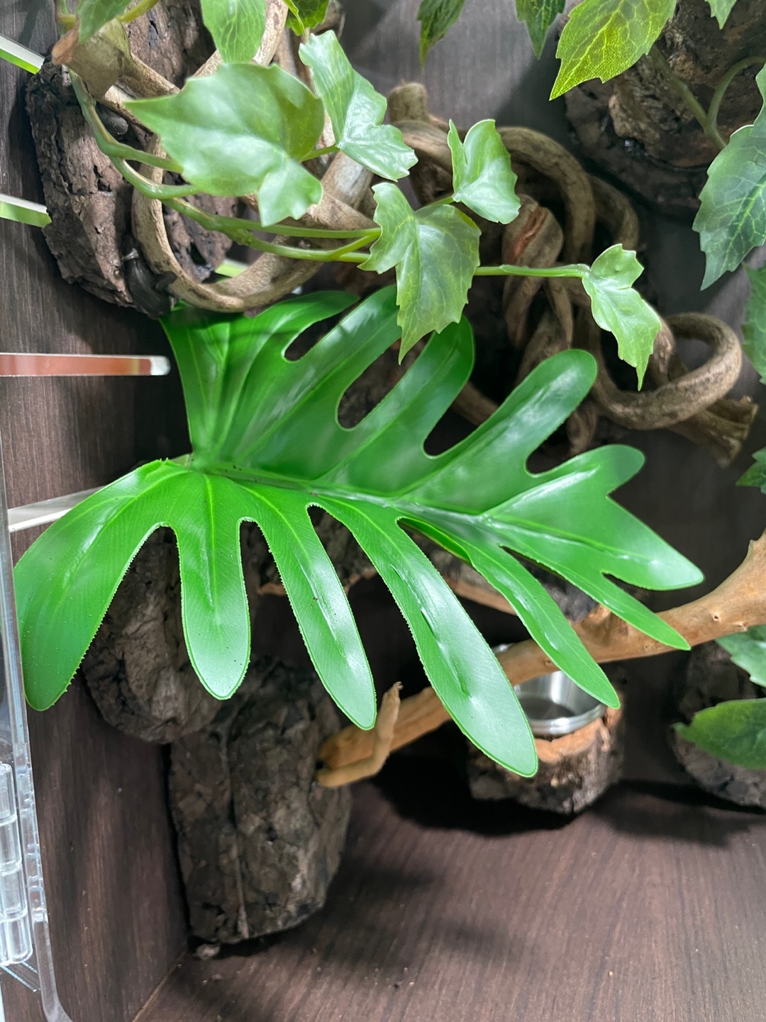 テラブロック 25×25×38 アクリル飼育ケージ メープル人工植物 フルセット detail 5