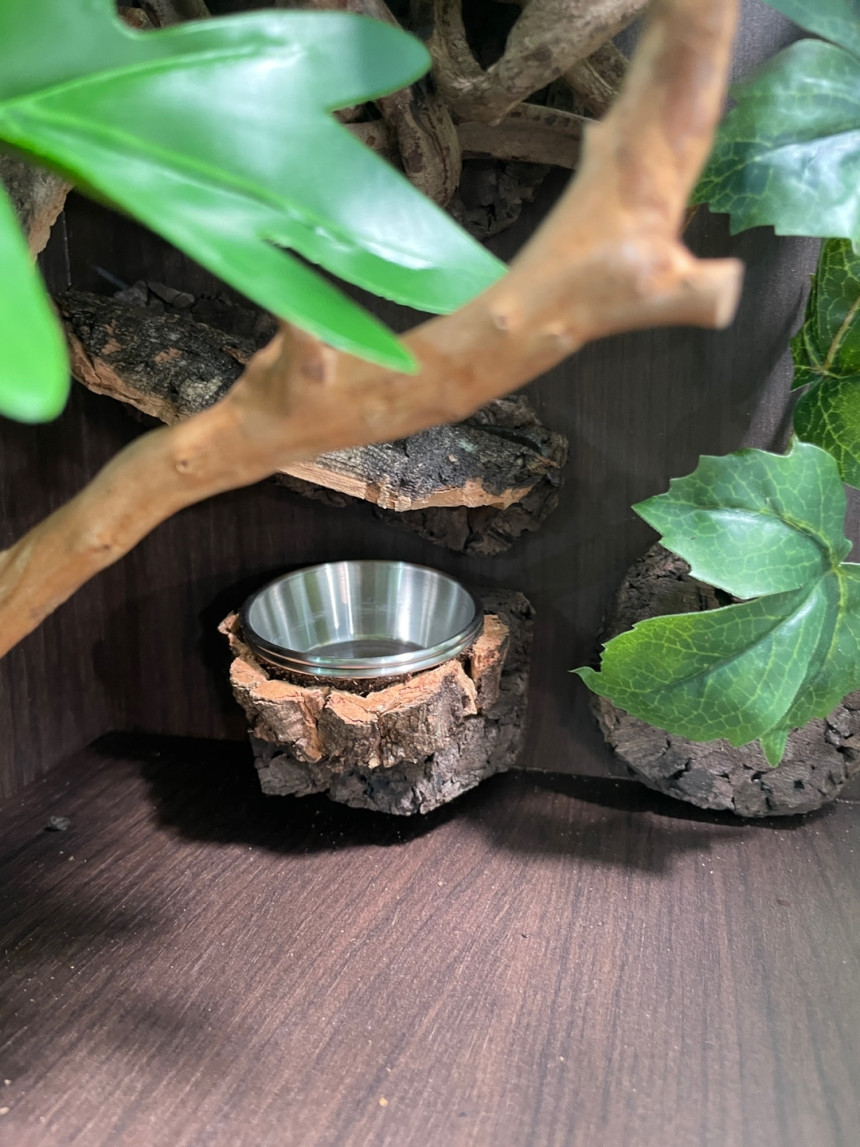 テラブロック 25×25×38 アクリル飼育ケージ メープル人工植物 フルセット detail 6