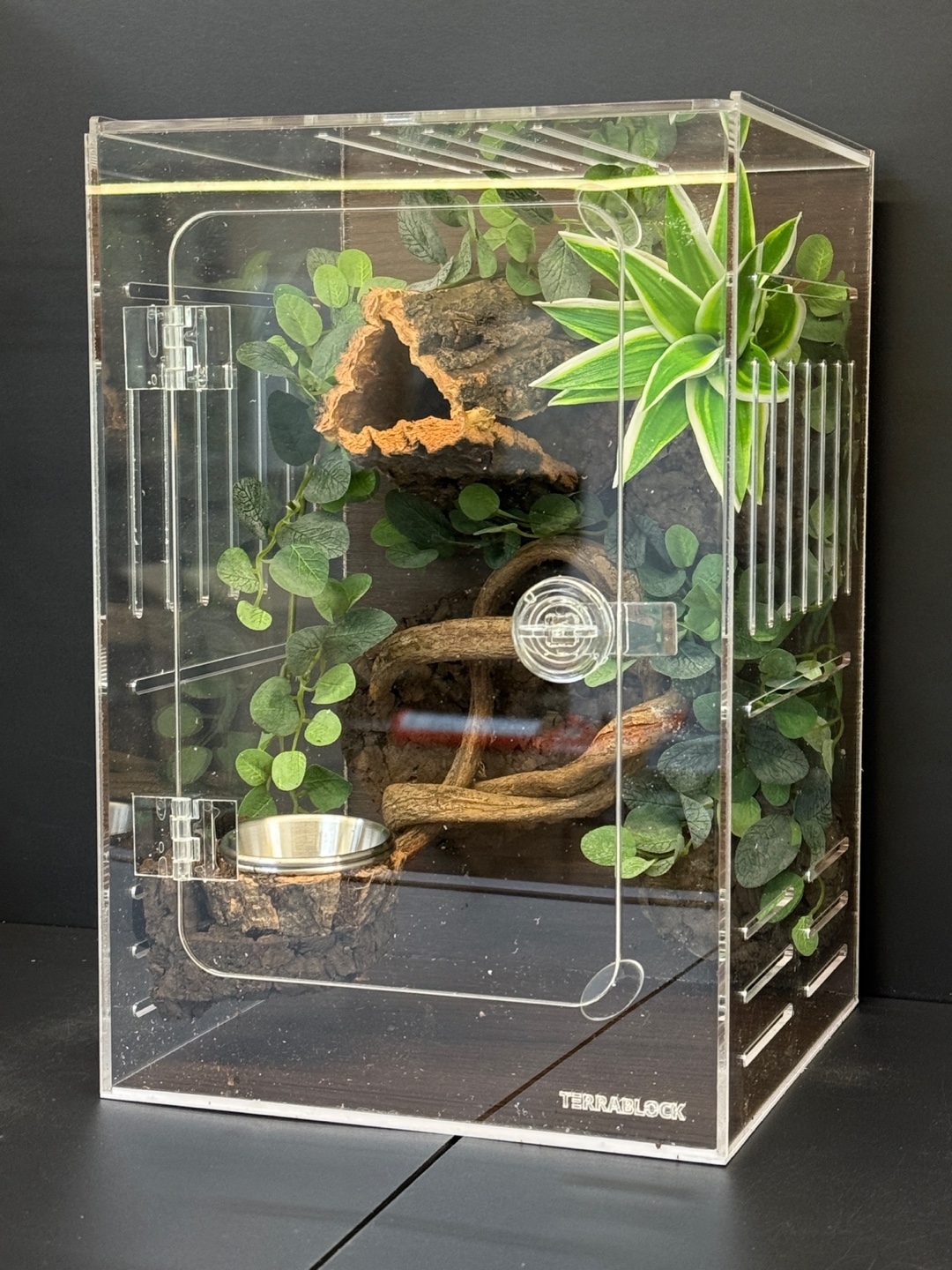 テラブロック 20×20×30 アクリル飼育ケージ メイプール 人工植物フルセット detail 1