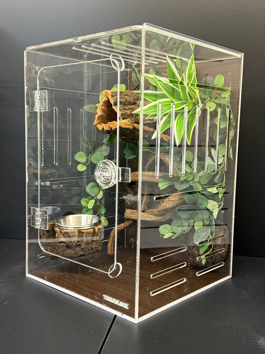 テラブロック 20×20×30 アクリル飼育ケージ メイプール 人工植物フルセット detail 2