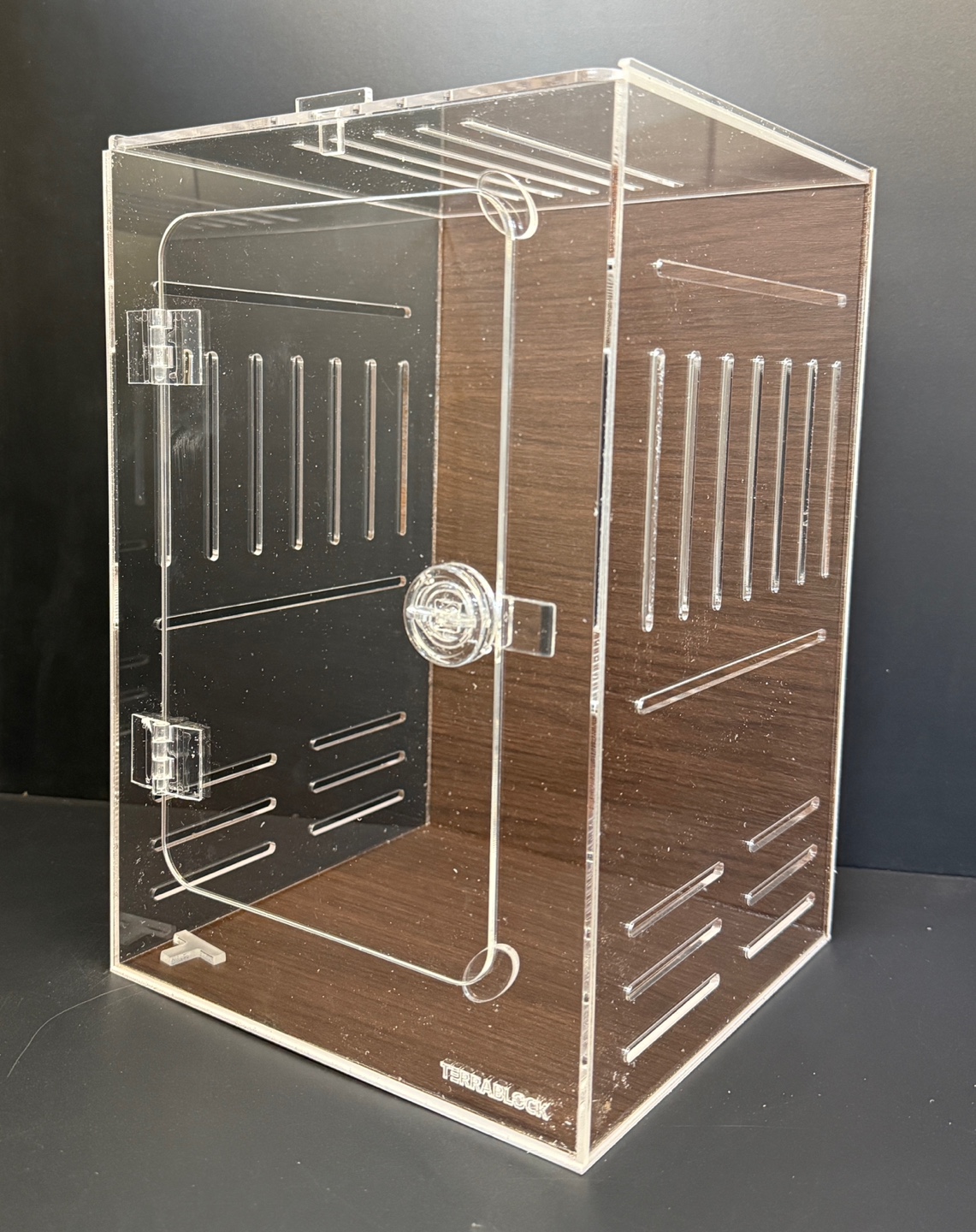 テラブロック 20×20×30 アクリル飼育ケージ メイプール 人工植物フルセット detail 4