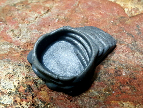 JIF ランプボウル（ベビー・ヤング個体用） detail 1