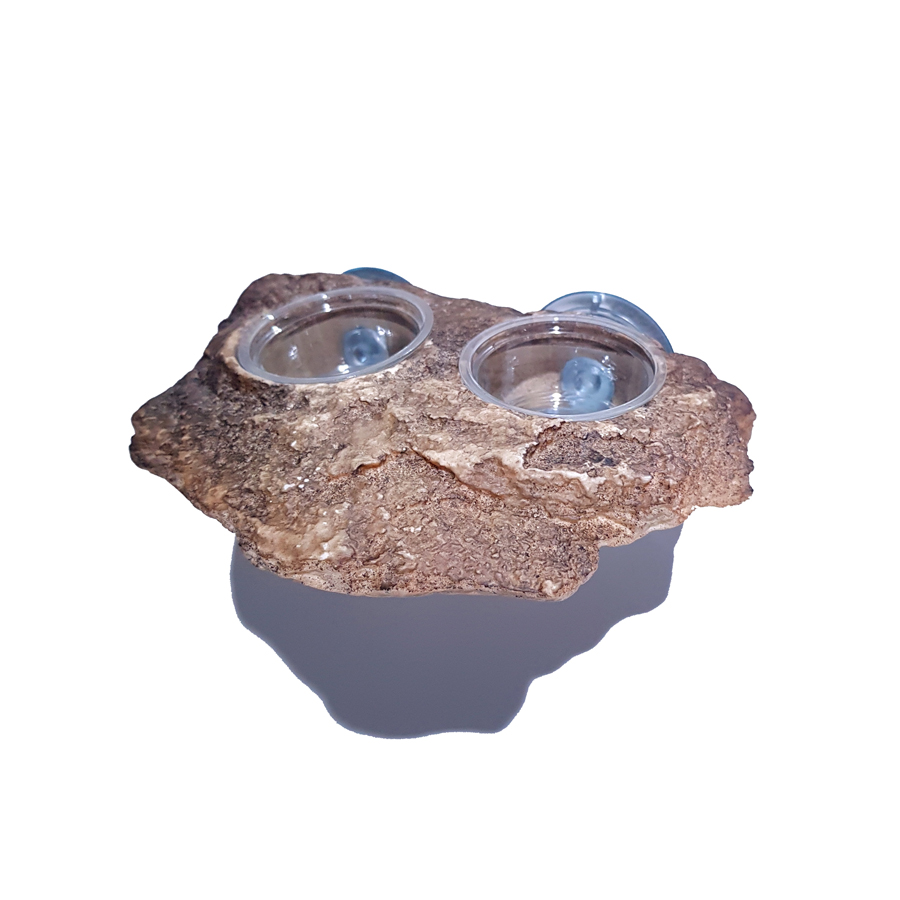 JIF Gecko Dual Superfood & Water Dish detail 1