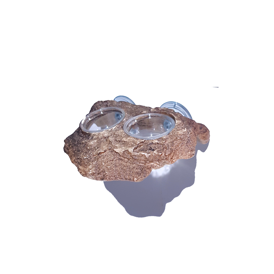 JIF Gecko Dual Superfood & Water Dish detail 2