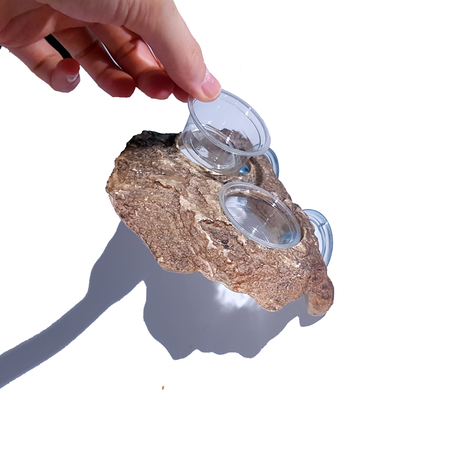 JIF Gecko Dual Superfood & Water Dish detail 3