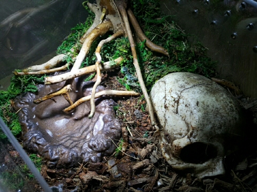 JIF ラグーン水入れ（小） detail 2