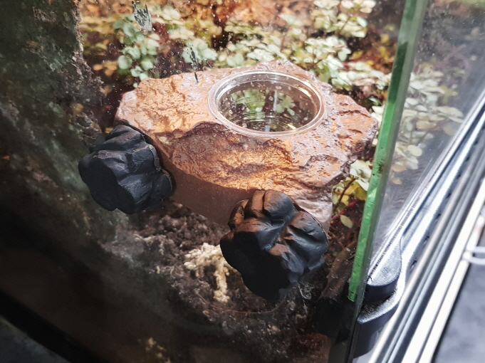 JIF ヤモリ用 マグネット式フィーディングディッシュ（1カップ） detail 2