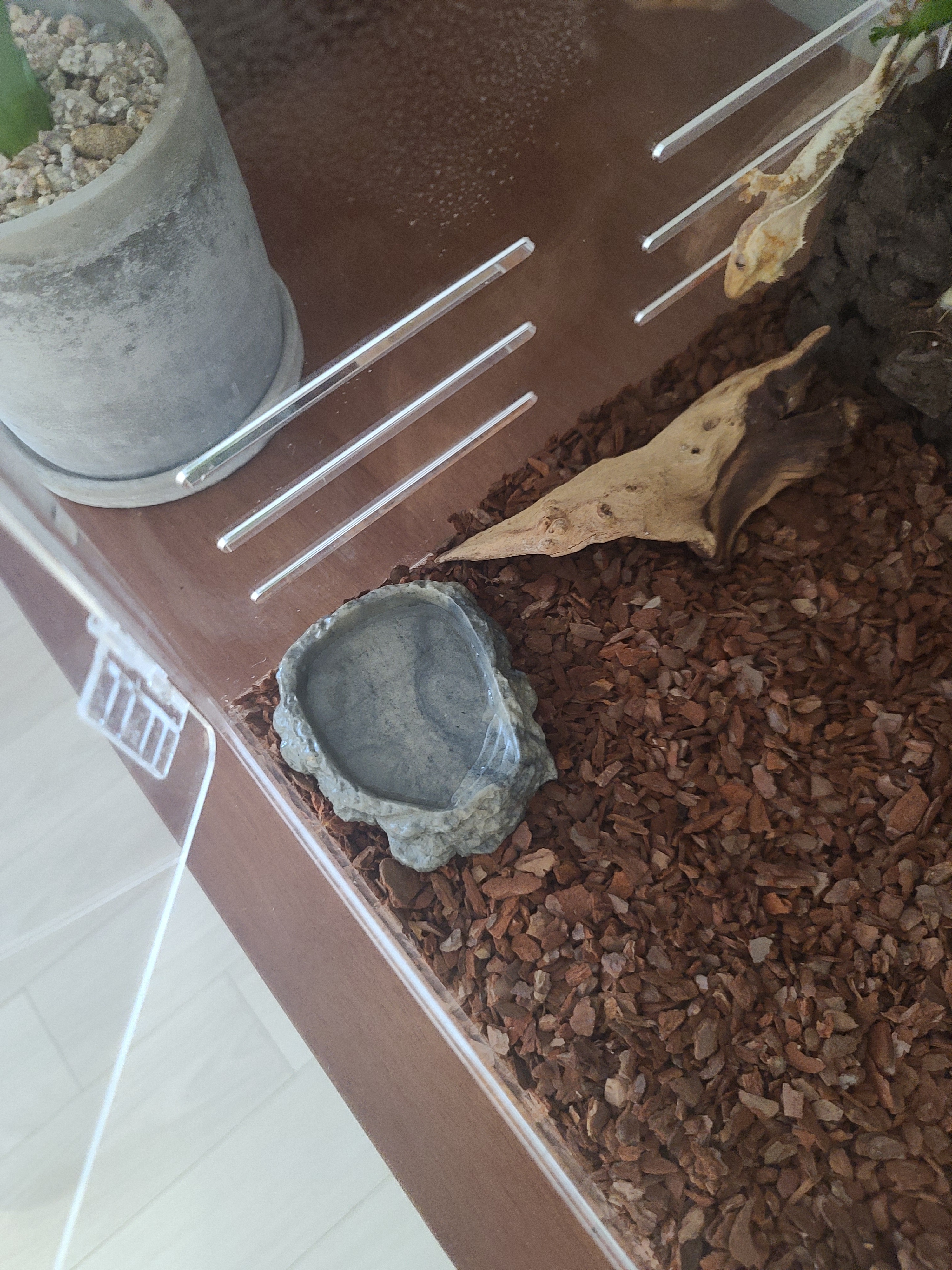 JIF 楕円形ウォーターディッシュ（中） detail 1