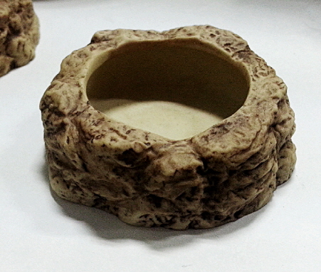 JIF ロックプール ミルワームディッシュ detail 1