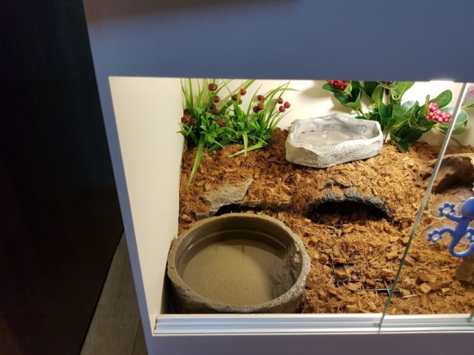 JIF ラウンド型 水入れ（特大） detail 1