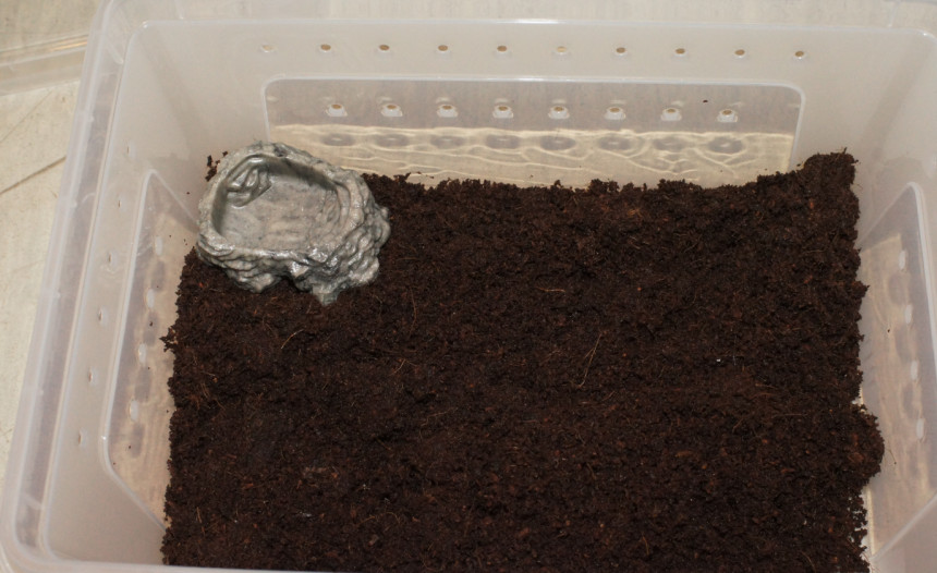 JIF ヤング個体用 ステップ給水皿（小） detail 1