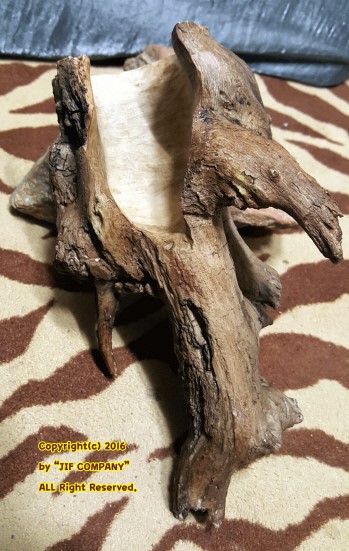 JIF 古木ハイブリッドシェルター detail 2