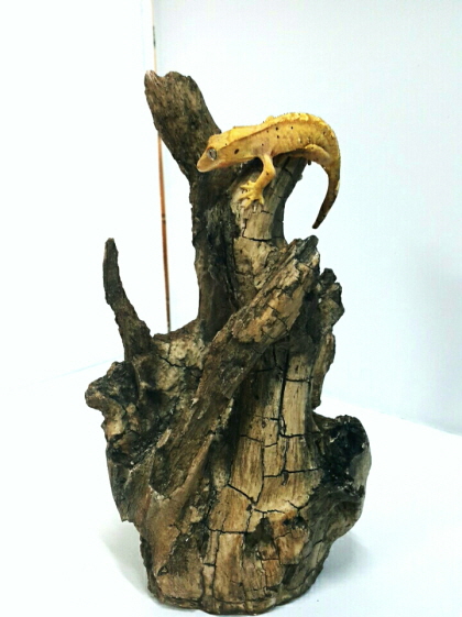 JIF 古木ハイブリッドシェルター detail 3