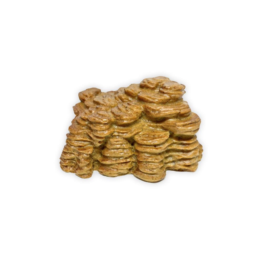 JIF グランドキャニオン シェールロック風 シェルター（小） detail 3