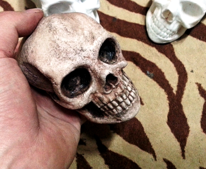 JIF リアルスカルシェルター（中） detail 1