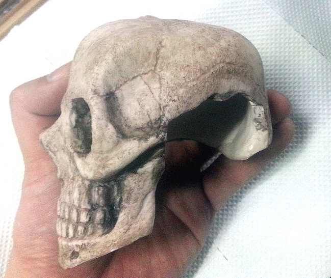 JIF リアルスカルシェルター（中） detail 3