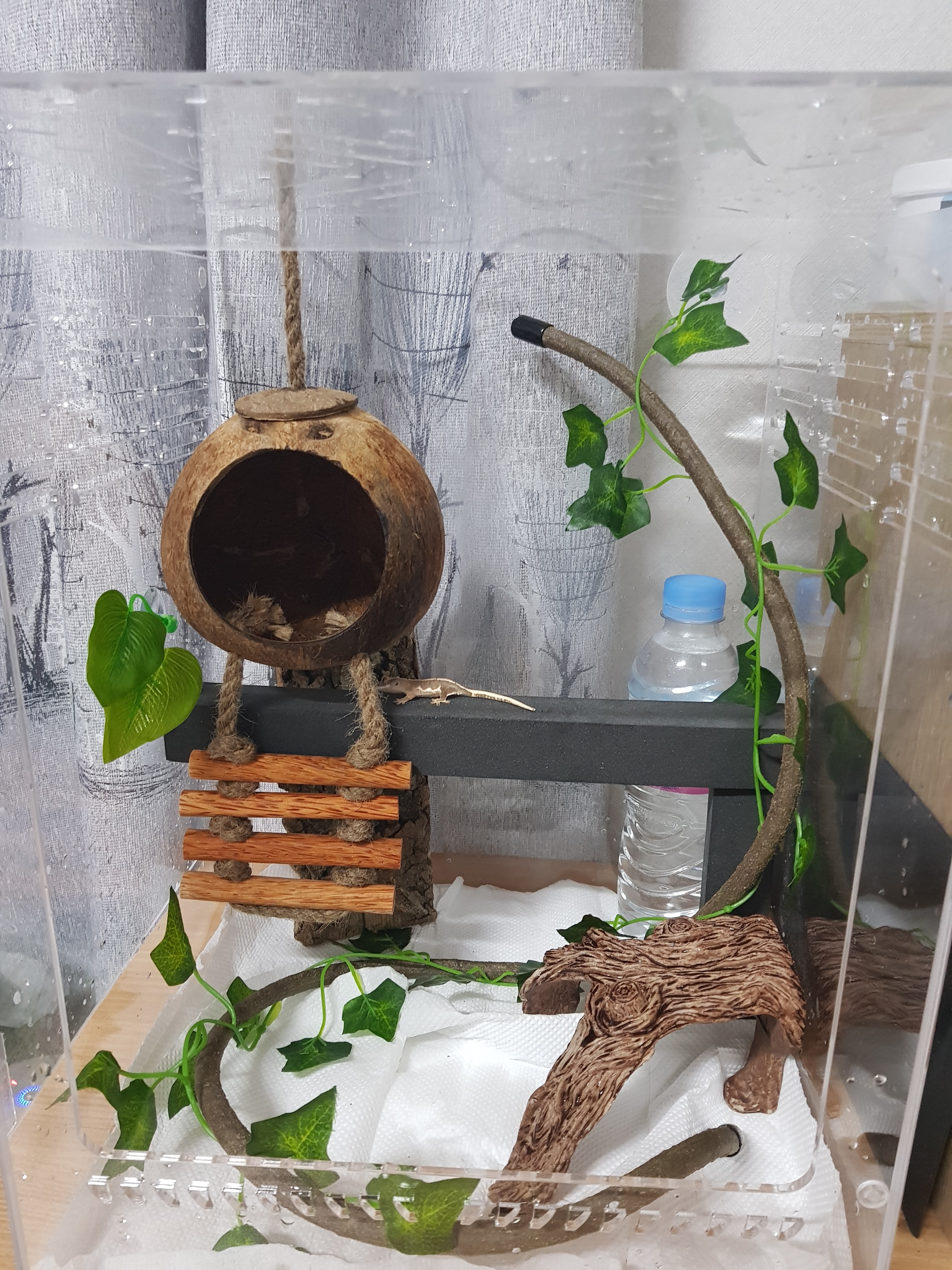 JIF 三点スタンド 古木タイプ 隠れ家 detail 5