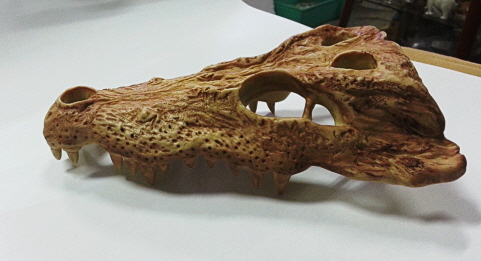 JIF クロコダイルスカル シェルター detail 1