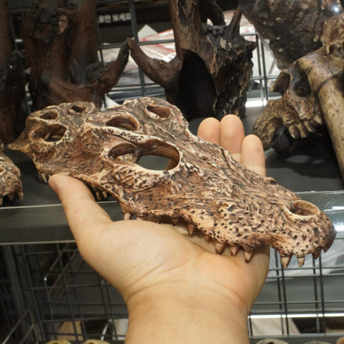 JIF クロコダイルスカル シェルター detail 3