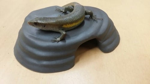 JIF マットブラック シェルター（大） detail 1