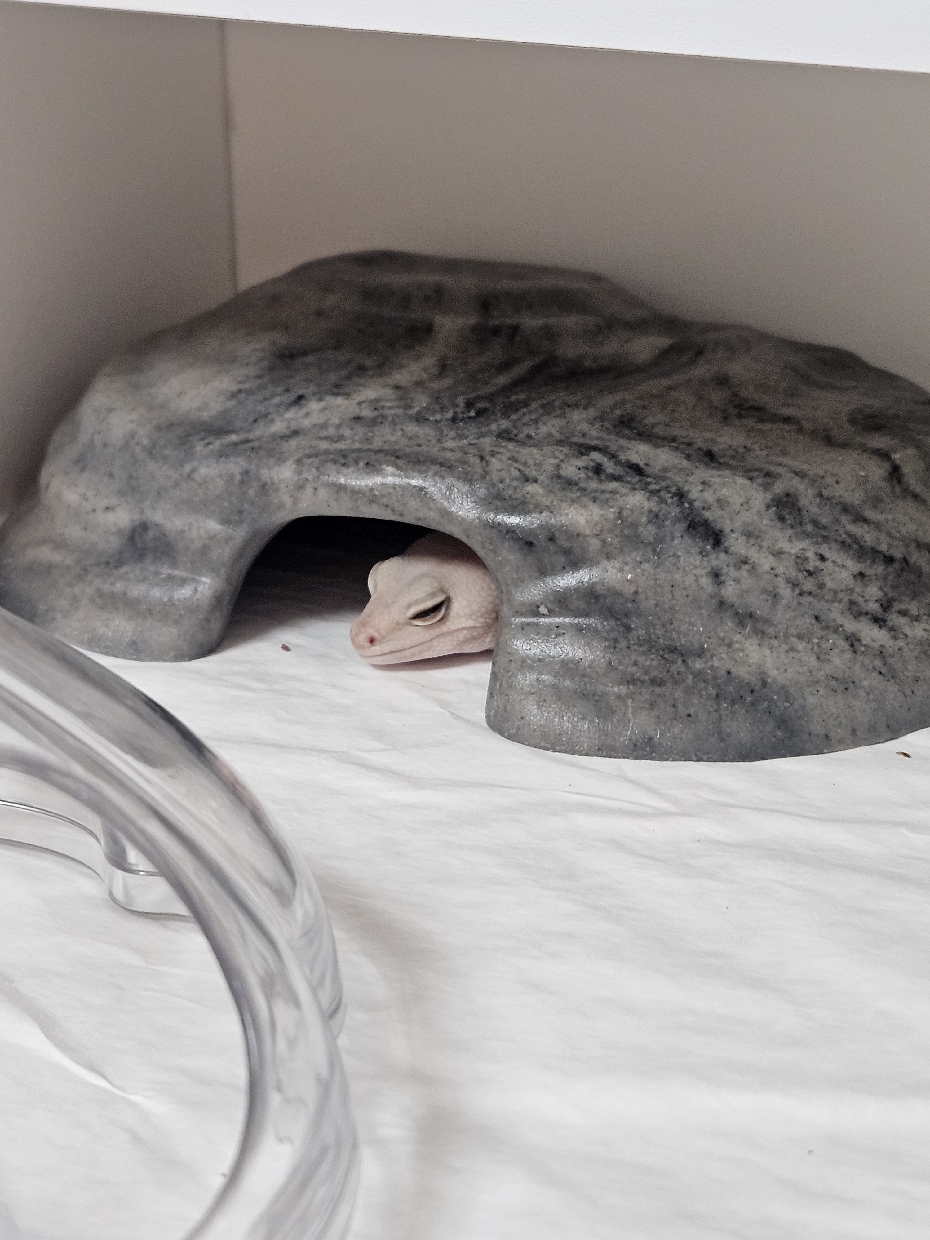 JIF マットブラック シェルター（大） detail 3