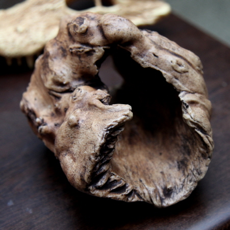 JIF 枯木チューブシェルター detail 1