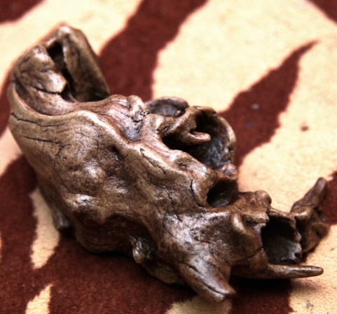 JIF 枯れ木シェルター（中） detail 1