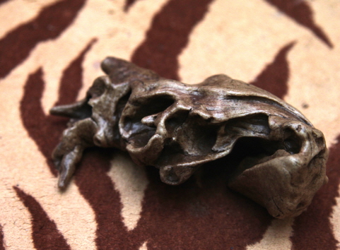 JIF 枯れ木シェルター（中） detail 2