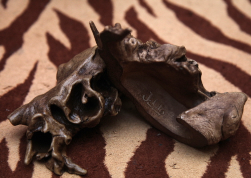 JIF 枯れ木シェルター（中） detail 3