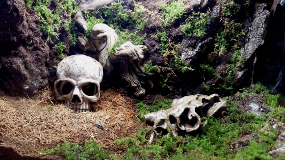 JIF 枯れ木シェルター（中） detail 4