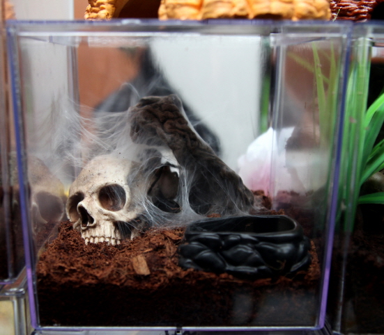 JIF スカルシェルター（アゴなしバージョン） detail 5