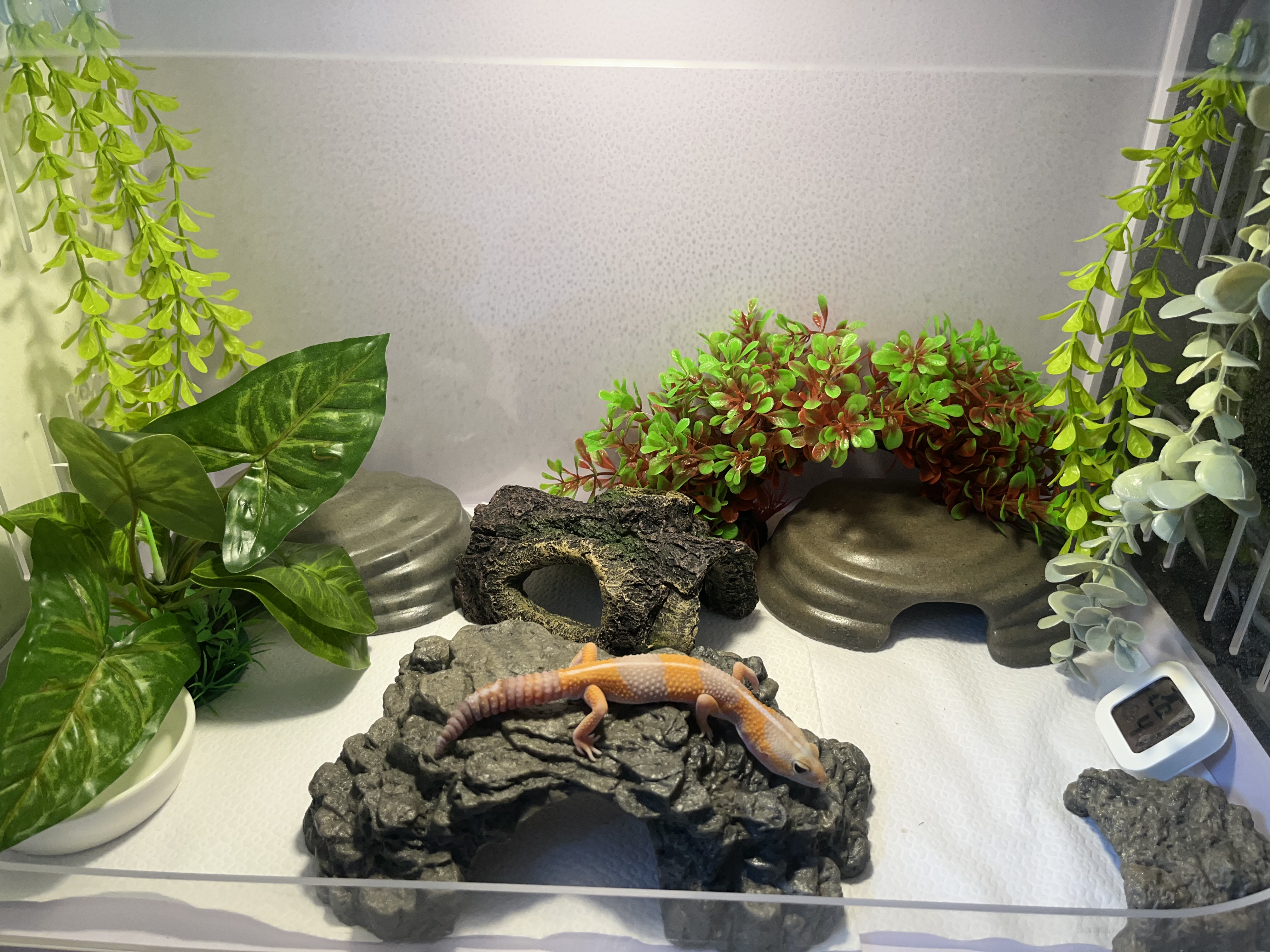 JIF 岩型トンネルシェルター（中〜大） detail 1