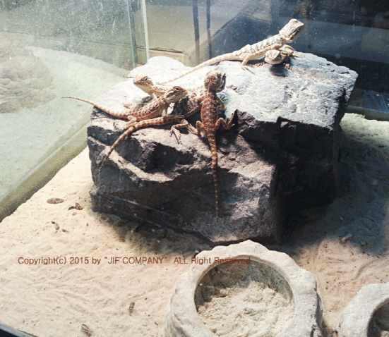 JIF 岩型シェルター（特大） detail 1