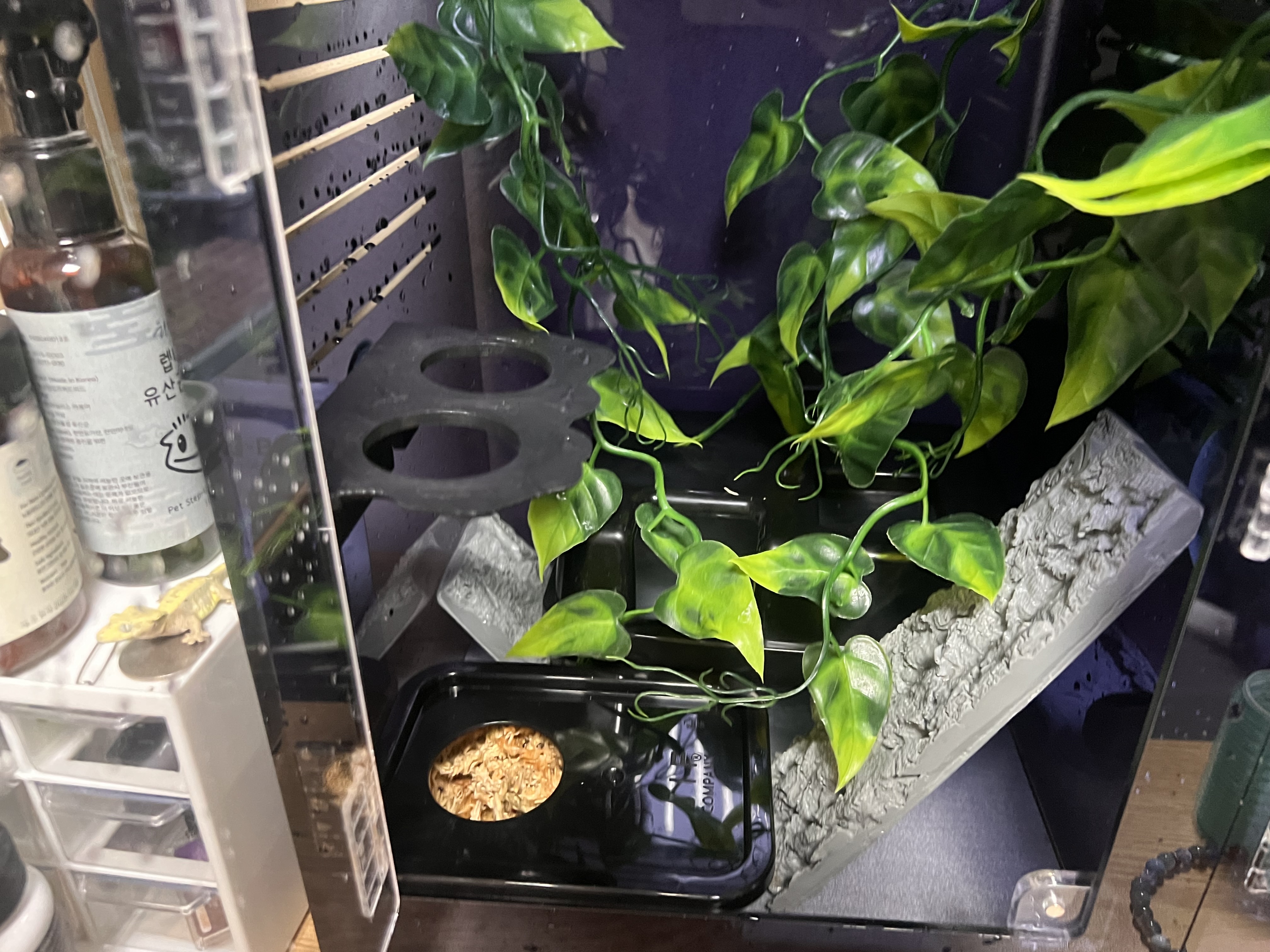 JIF ウェットシェルター（Mサイズ） detail 2