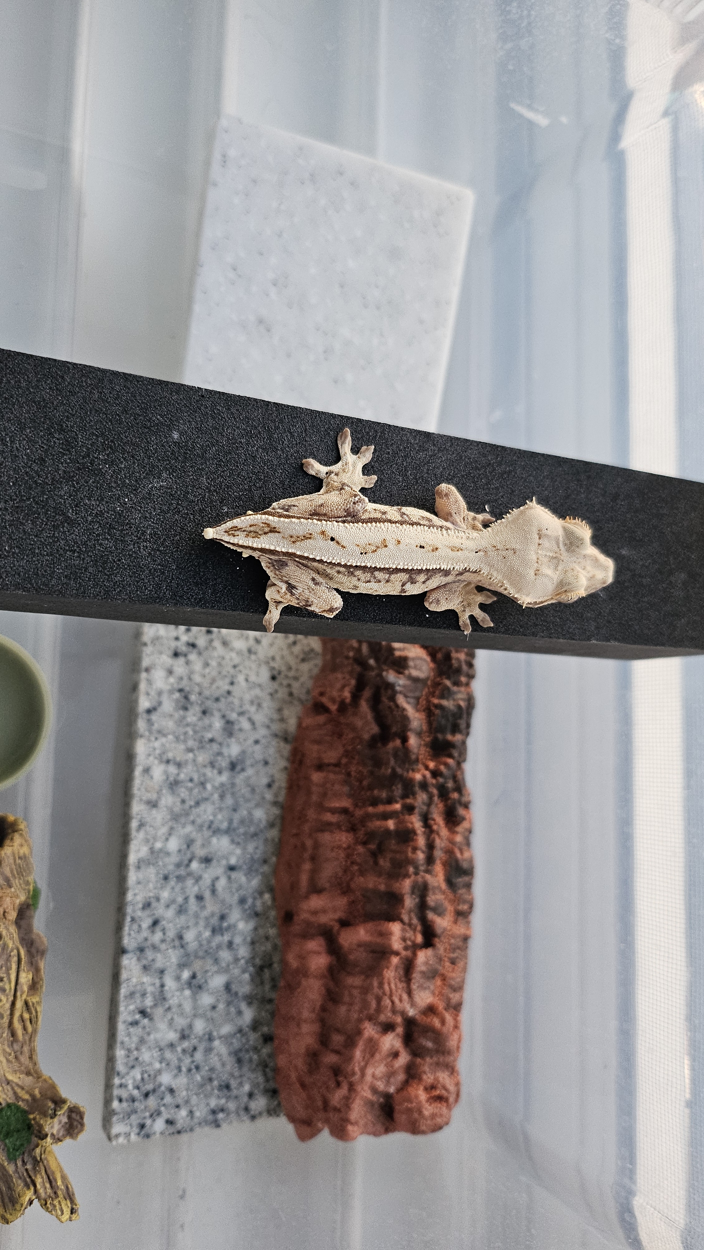 JIF 人工コルクチューブ（小） detail 1