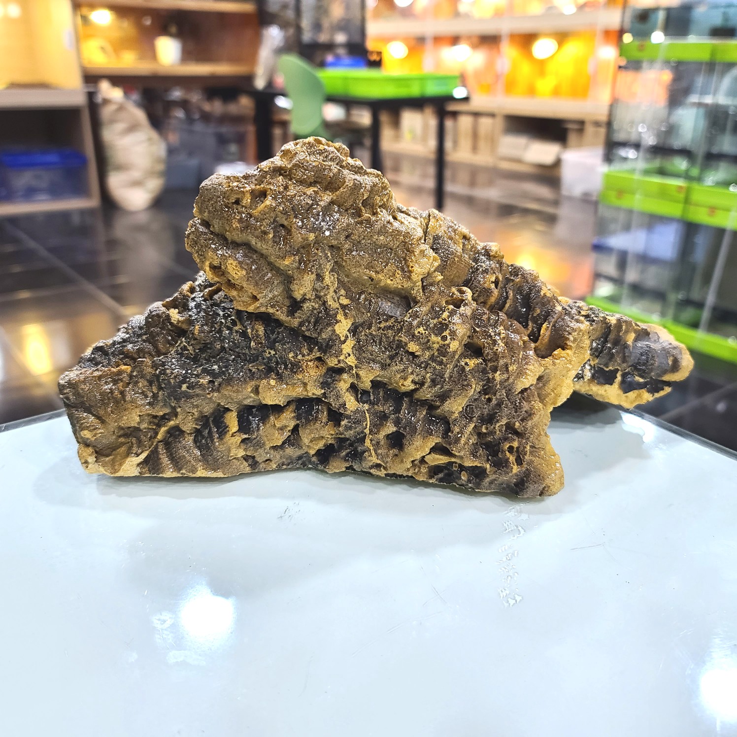 JIF フラット 人工コルクチューブ（大） detail 1