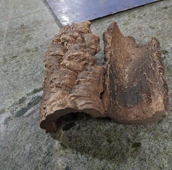 JIF 人工コルクチューブ Bタイプ（中） detail 3