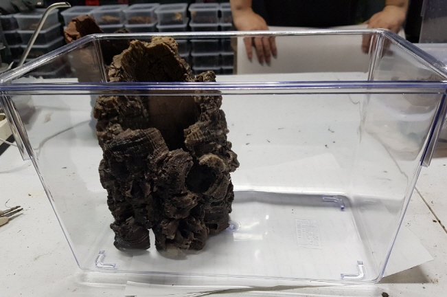 JIF 人工コルクチューブ Bタイプ（中） detail 3