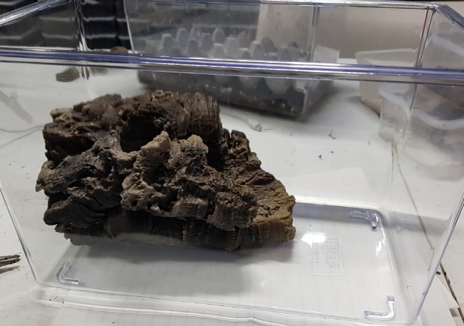 JIF 人工コルクチューブ Bタイプ（中） detail 4