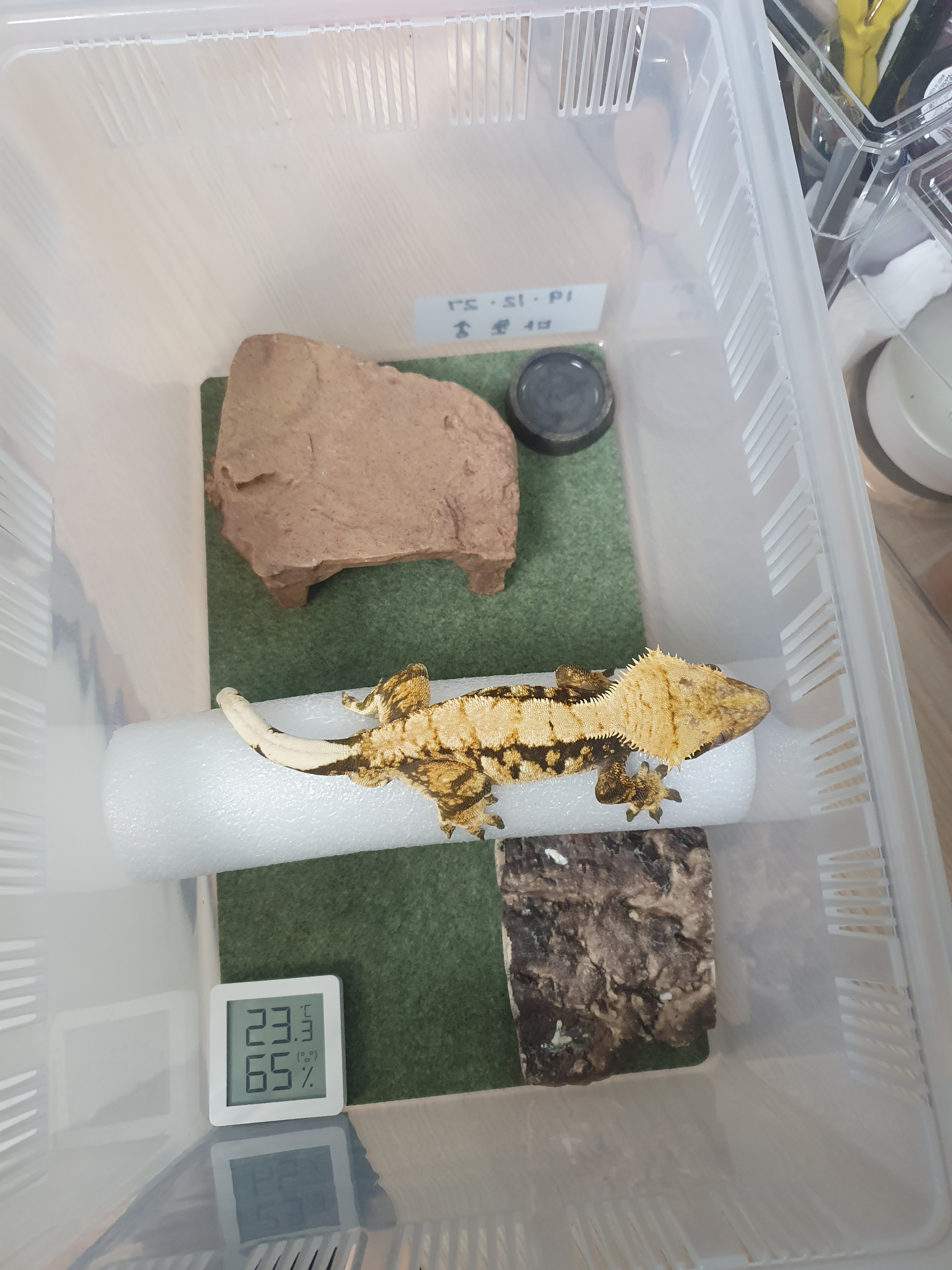 JIF 岩型シェルター Aタイプ（サンドカラー） detail 3