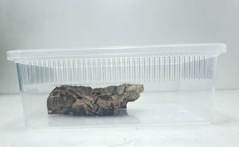 JIF 人工コルクチューブ シェルター（小） detail 2