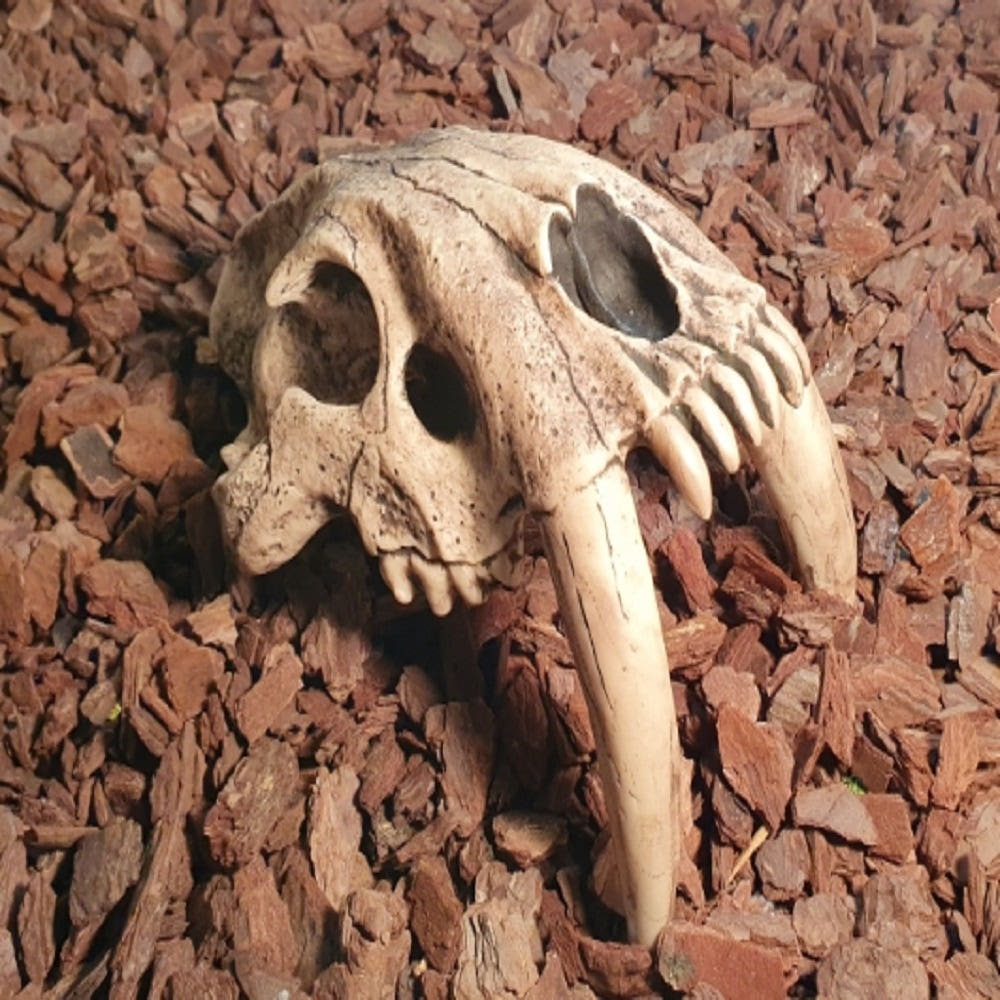 JIF 古代タイガースカル シェルター（大） detail 1