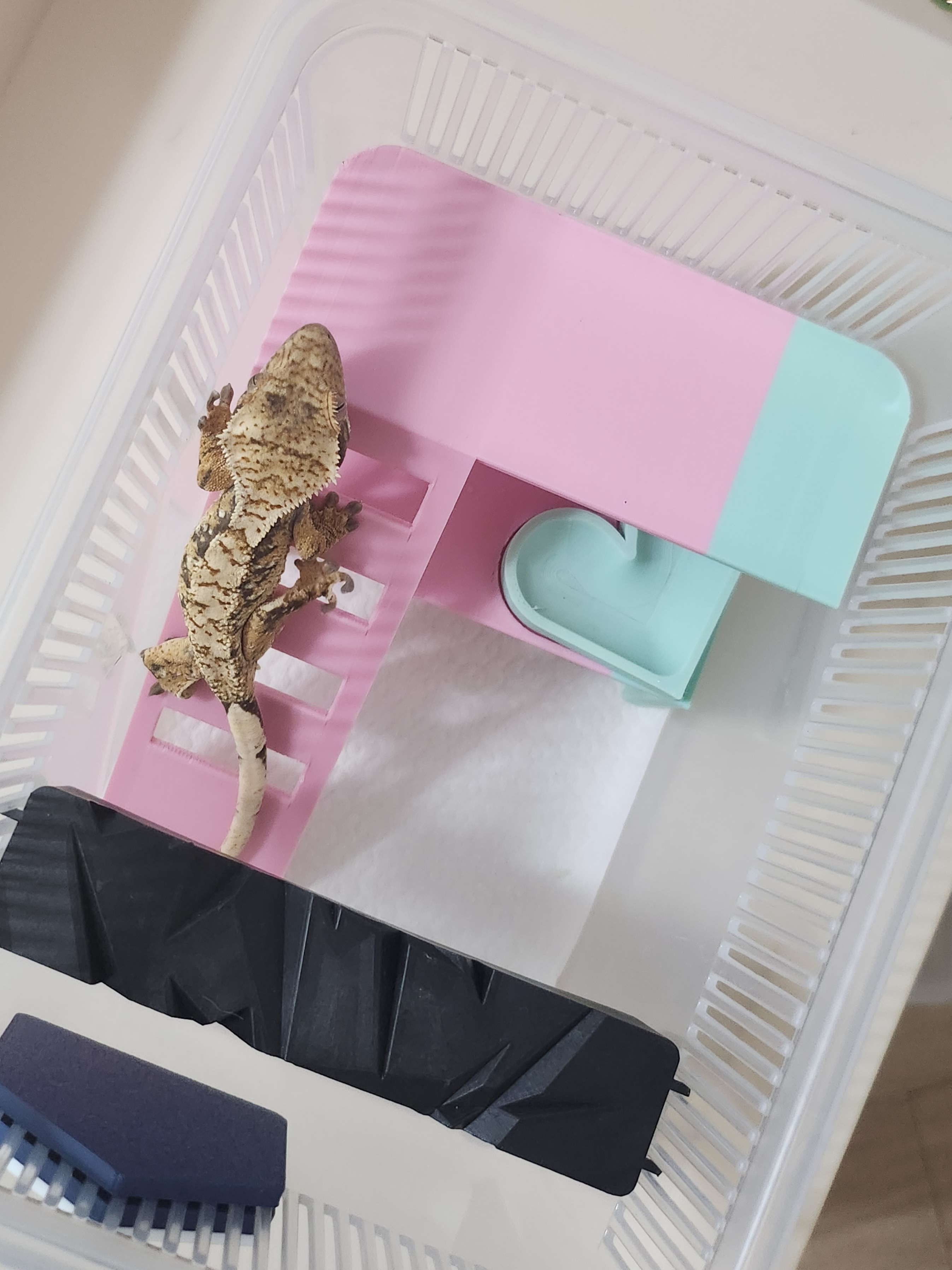 JIF 積み重ね式ケージ（小・ロング）専用プラットフォーム detail 1