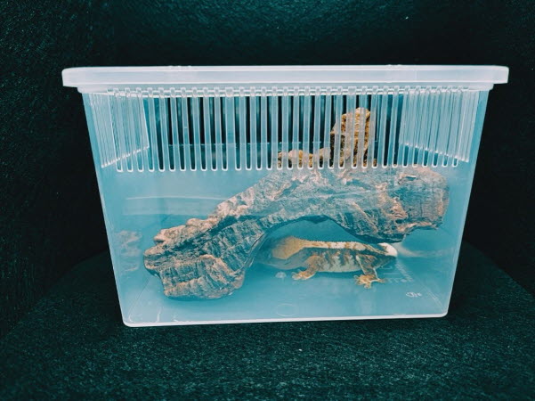 JIF 積み重ね式ケージ（小・ロングタイプ）用 人工コルクチューブ detail 2