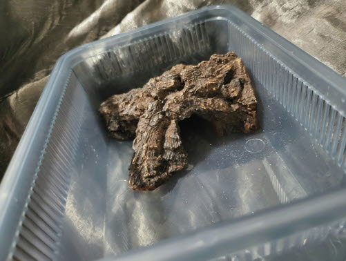 JIF積み重ね式ケージ（小）専用 リアルコルクボードシェルター detail 2