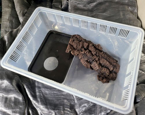 JIF 積み重ね式ケージ（大）用 人工コルクプラットフォーム detail 1