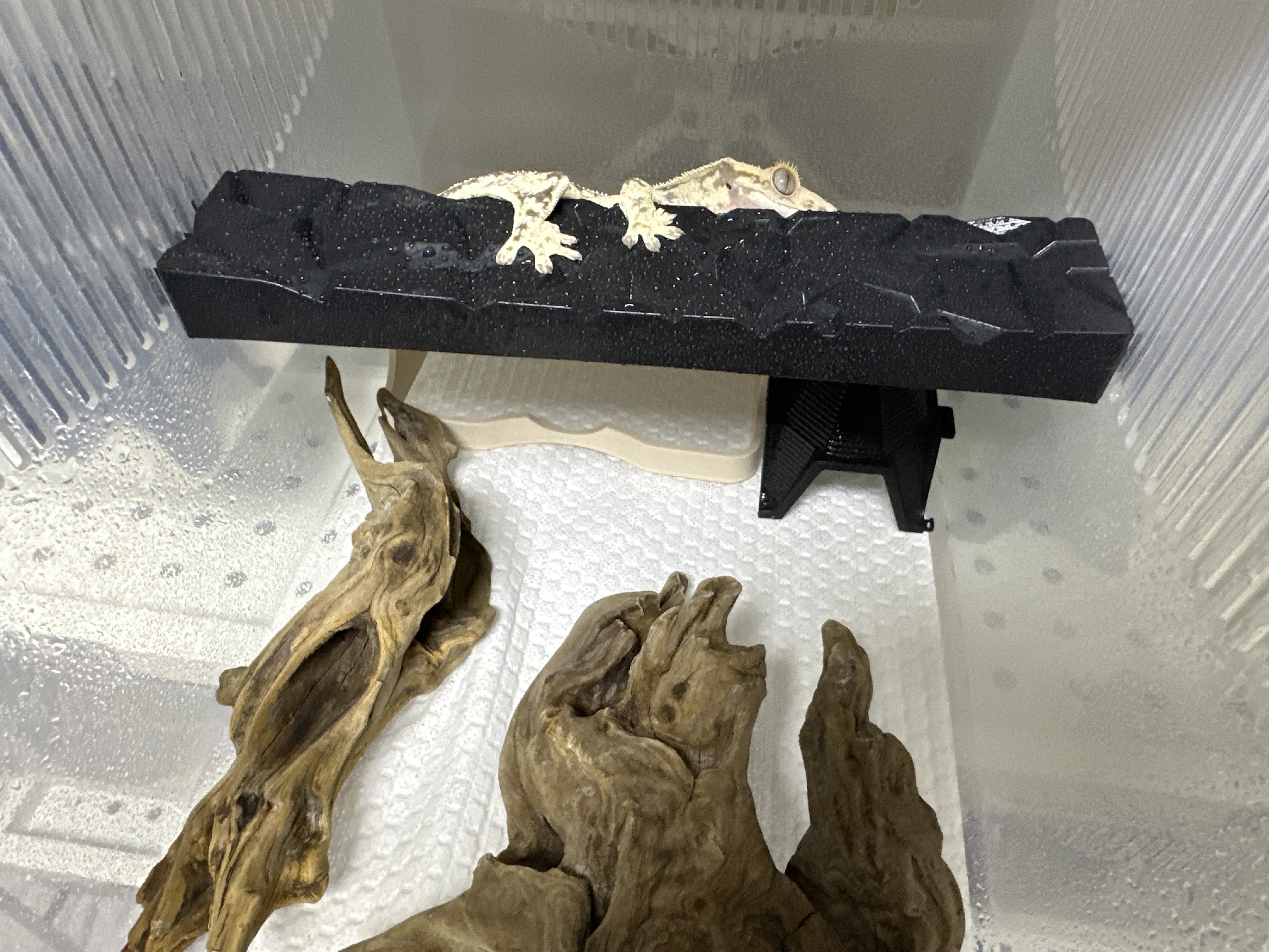 JIF 積み重ね式ケージ（大）専用 プラストン プラットフォーム detail 1