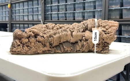 JIF 人工コルクチューブ Aタイプ（特大） detail 1