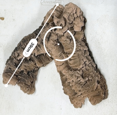 JIF 人工コルクチューブ Aタイプ（特大） detail 2