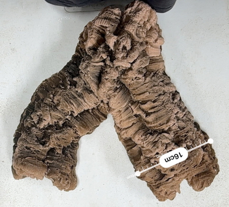 JIF 人工コルクチューブ Aタイプ（特大） detail 3